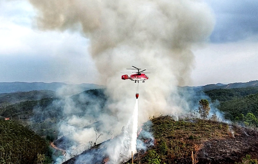 Ezhou Natural Resources and Planning Bureau level Hubei Province Southern region (Ezhou) in 2022 forest aviation fire rental project
